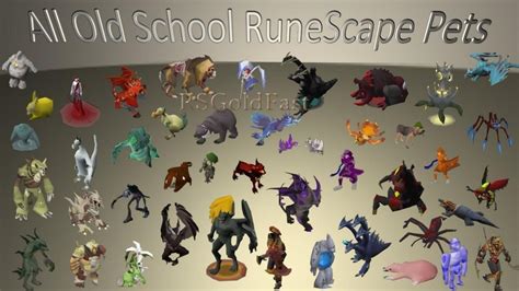 osrs are pets automatically insured